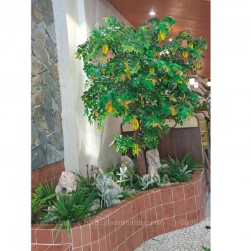 Mẫu tiểu cảnh cây giả tại 36 Vũ Phạm Hàm
